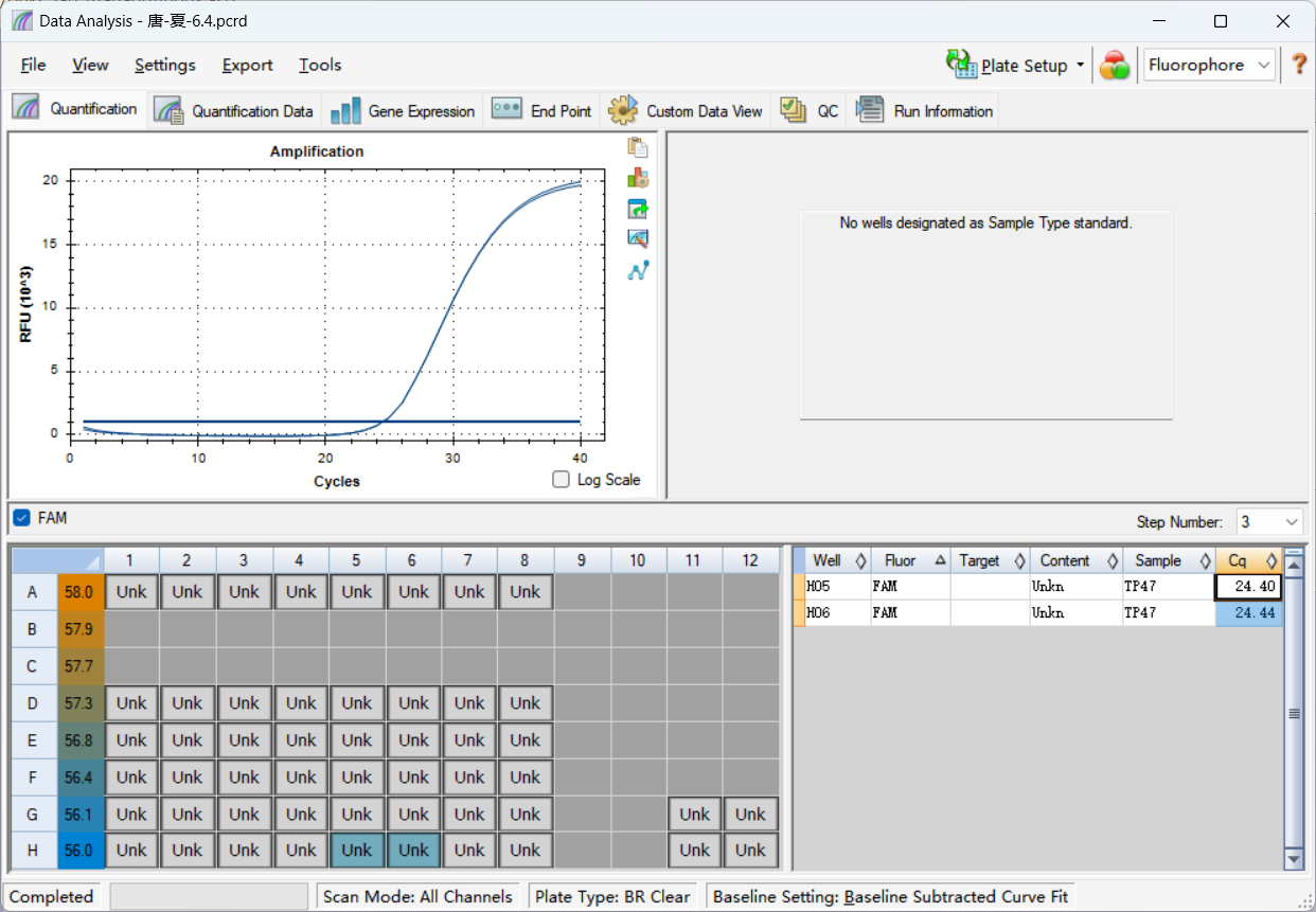 Treponema pallidum (TP) tpp47 gene detection standard-BNCC