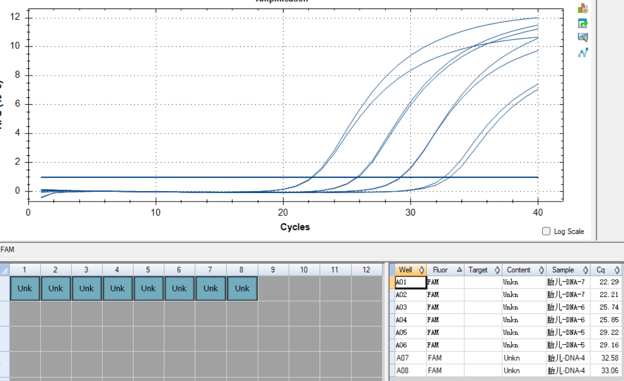 Fetal Campylobacter sexually transmitted disease subspecies DNA standard-BNCC