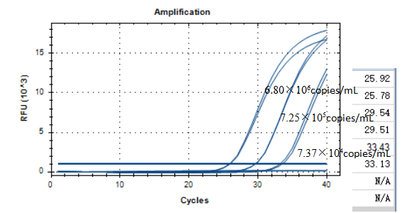 Star shaped bacteria DNA standard-BNCC