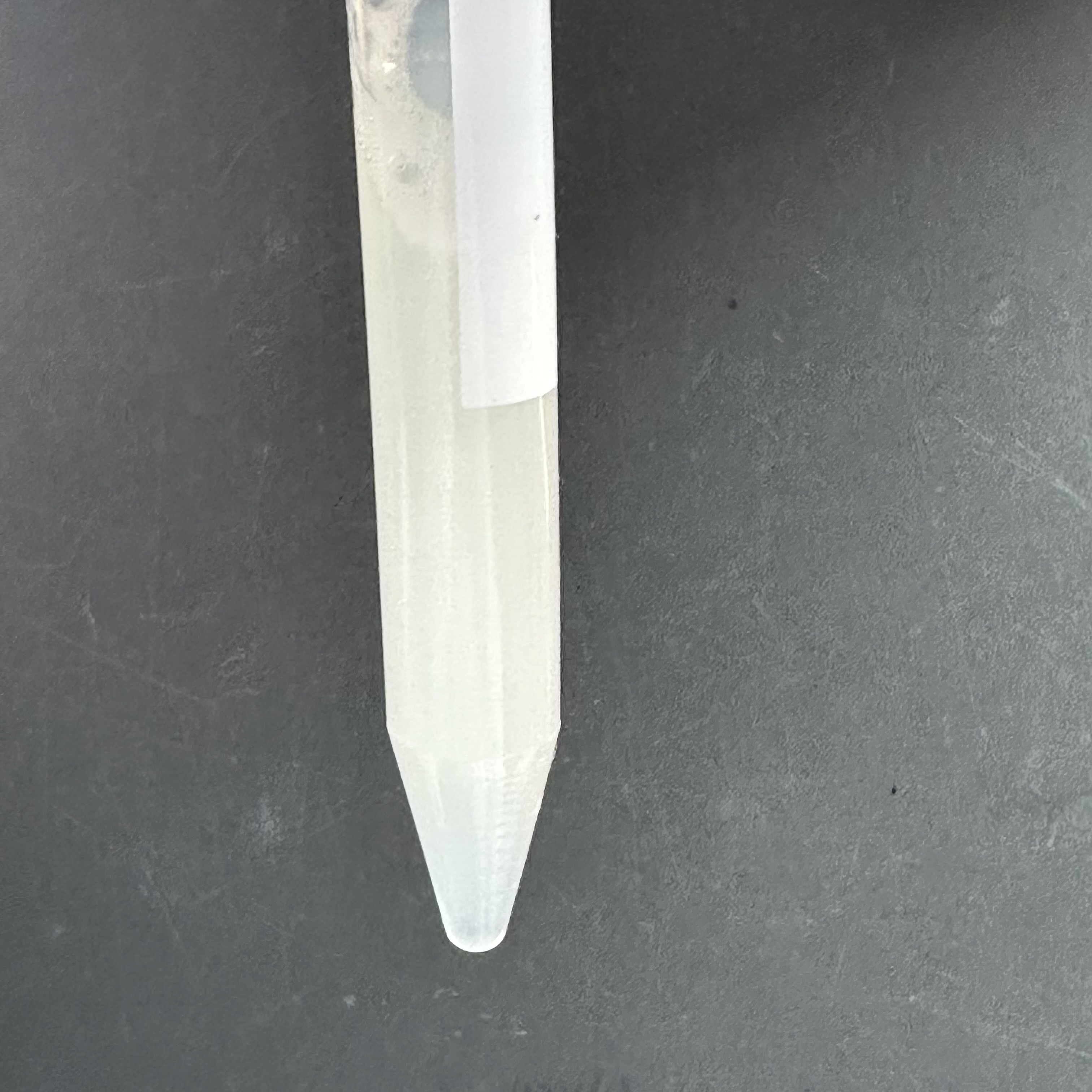 Enterococcus faecium DNA standard-BNCC