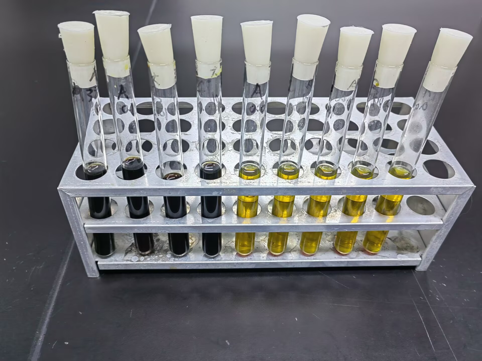 Monocytogenes Listeria Quality Control Sample (MPN Method)-BNCC