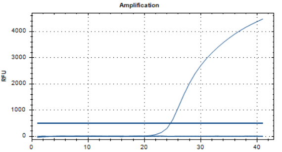 Human parainfluenza virus type 2 nucleic acid detection kit (fluorescence PCR method)-BNCC