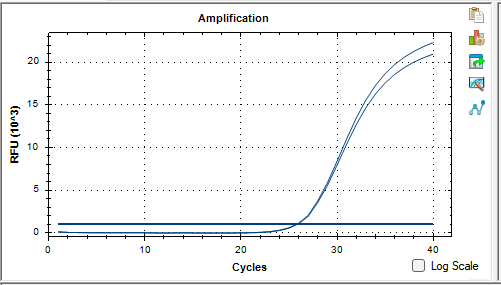 Cryptococcus neoformans DNA standard-BNCC