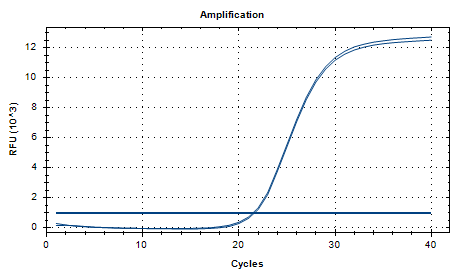 Mycoplasma pneumoniae DNA Reference Material-BNCC