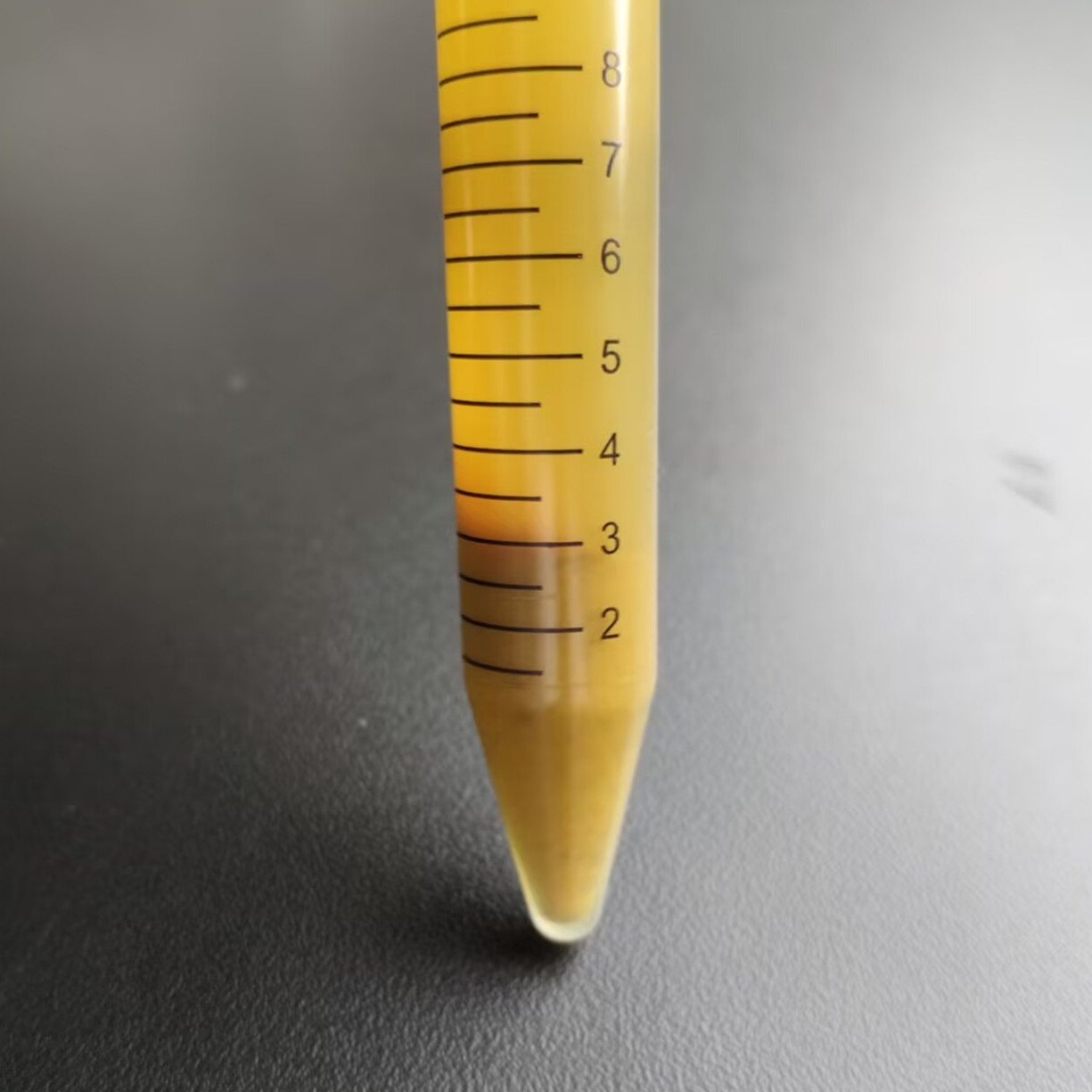 Aspergillus niger-BNCC