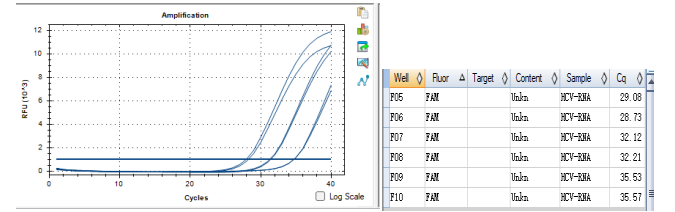 Hepatitis C virus (HCV-2b) pseudovirus RNA standard-BNCC