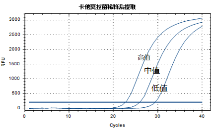 Moraxella catarrhalis DNA standard-BNCC