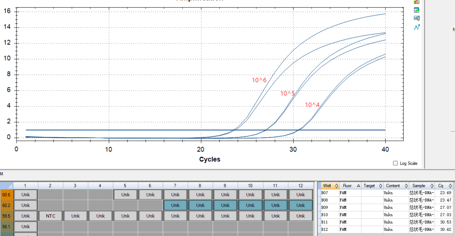 Mucor racemosus DNA standard-BNCC