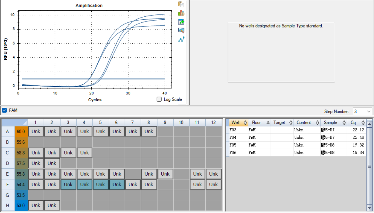 Human adenovirus type 5 DNA standard-BNCC