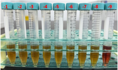 Mycoplasma gallisepticum nucleic acid reference substance (Heat-inactivated) (strongly positive)-BNCC