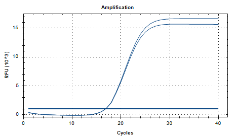 Nocardia asteroids nucleic acid reference substance (Heat-inactivated) (strongly positive)-BNCC