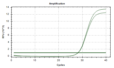 Reference substance for Enterococcus faecalis nucleic acid (Heat-inactivated) (strongly positive)-BNCC