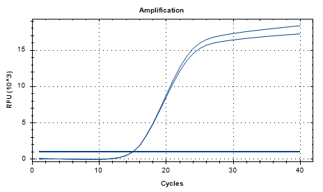 Shigella Dysenteriae Nucleic Acid Reference Material (Thermally Inactivated) (Strongly Positive)-BNCC