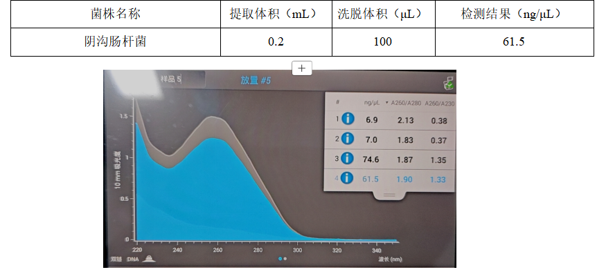 Enterobacter cloacae DNA standard-BNCC