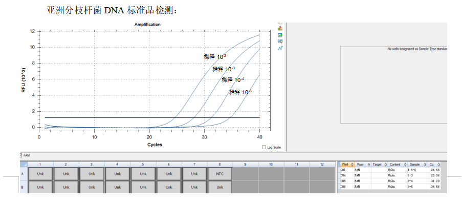 Asian Mycobacterium DNA standard-BNCC