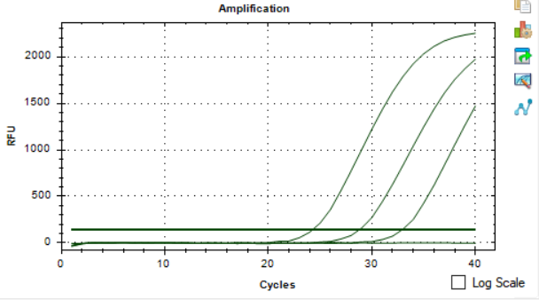 Mycoplasma phrei DNA standard-BNCC