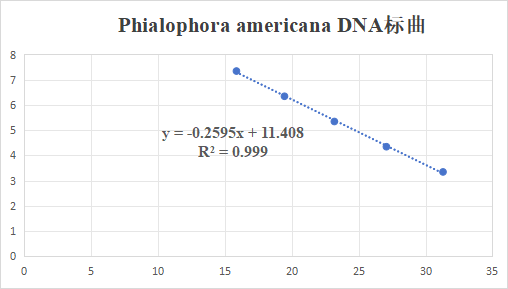 Phialophora americana DNA standard-BNCC