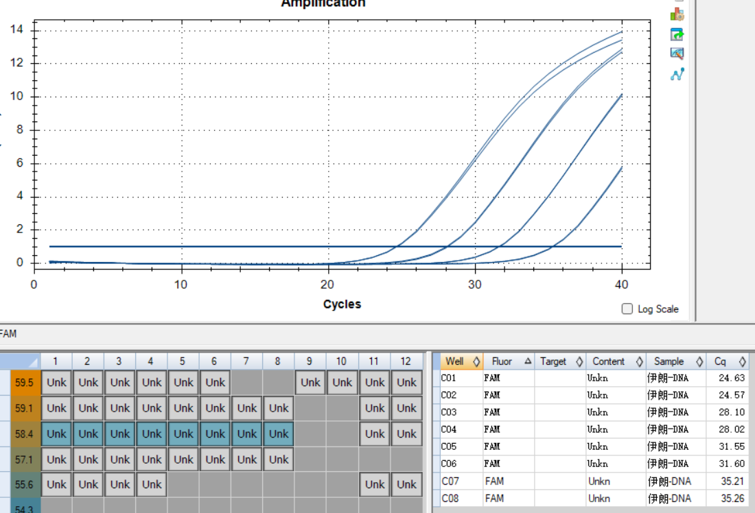Iranian Mycobacterium DNA standard-BNCC