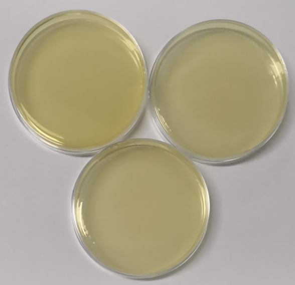 Human papillomavirus type 18 (L1/E6/E7) DNA standard-BNCC