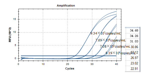 Triple Mycobacterium DNA standard-BNCC