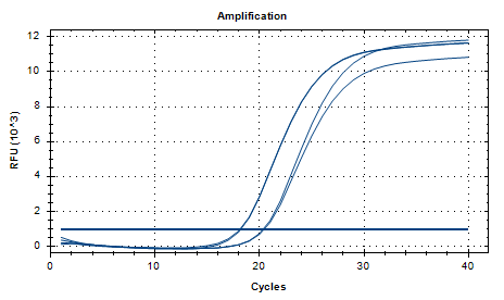 Acinetobacter baumannii nucleic acid reference substance (Heat-inactivated) (strongly positive)-BNCC