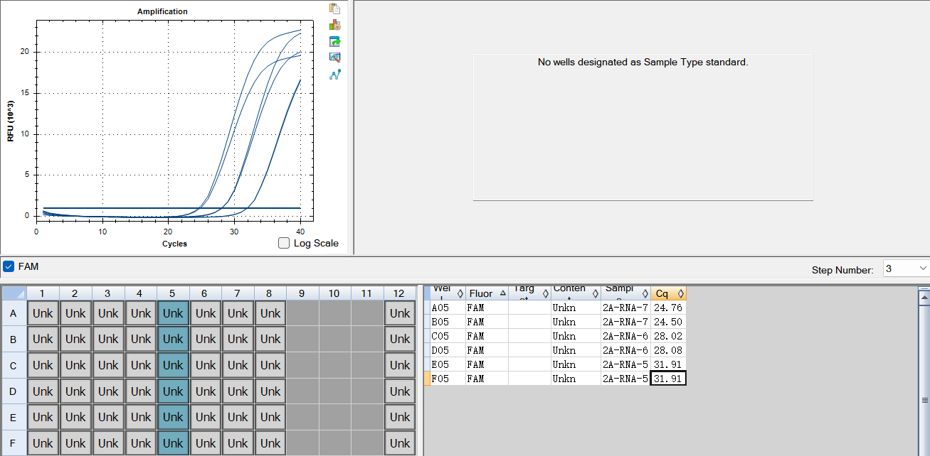 Smallpox virus E3L-E4L gene plasmid DNA standard-BNCC