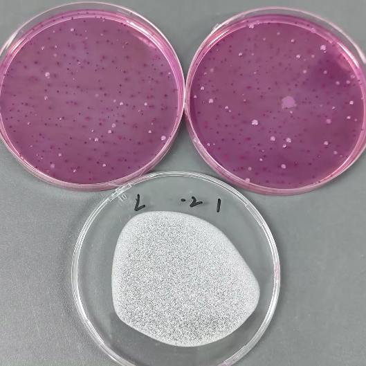 Standard substance for plate counting of coliforms in food (pouring method)-BNCC