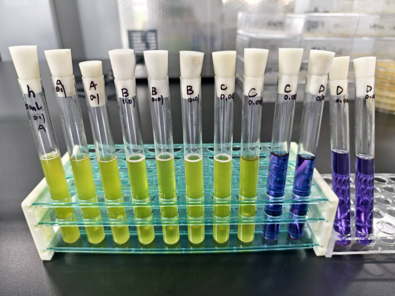 Escherichia coli MPN counting method quality control sample-BNCC