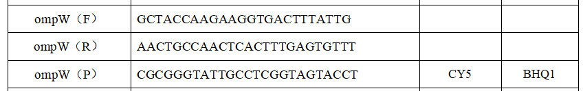 Vibrio cholerae deoxyribonucleic acid liquid indoor quality control product-BNCC