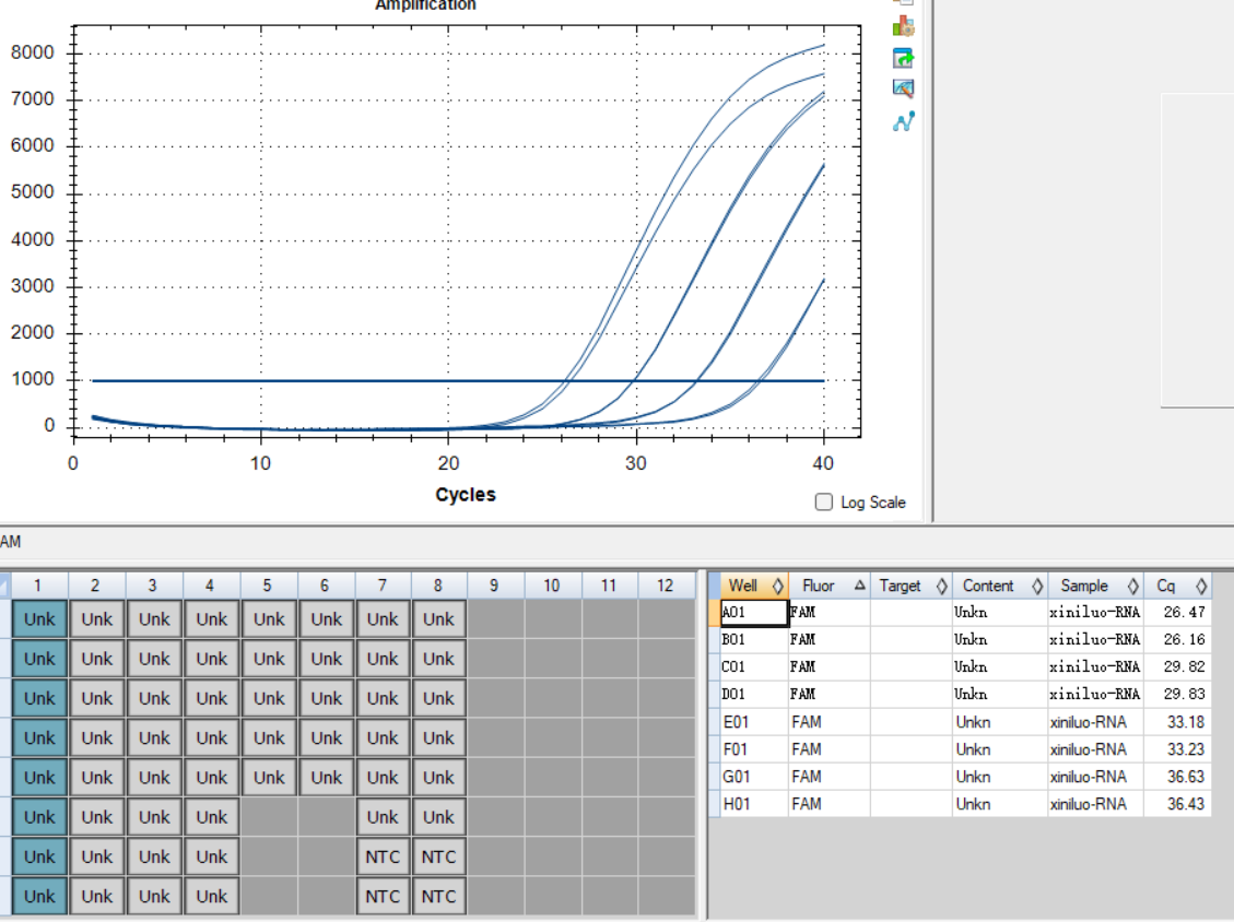West Nile virus RNA standard-BNCC