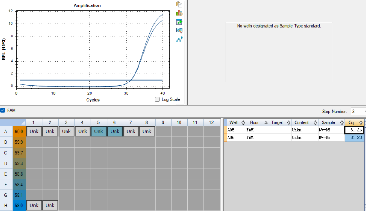 Type B influenza virus (BV) RNA standard-BNCC