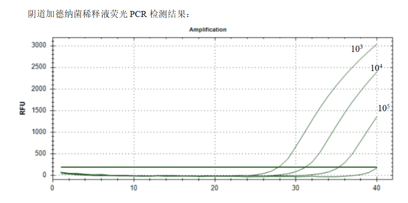 Vaginal Gardnerella vaginalis DNA standard-BNCC
