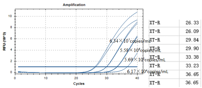 Sendai virus RNA standard-BNCC