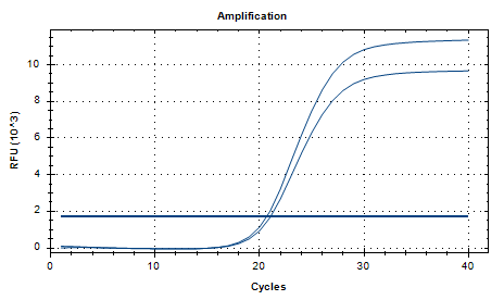 Nocardia brasiliensis Nucleic Acid Reference Material (Thermally Inactivated) (Strong Positive)-BNCC