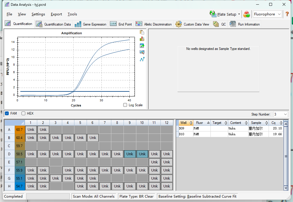 Senegal Mycobacterium Nucleic Acid Reference (Heat-inactivated) (Strong Positive)-BNCC