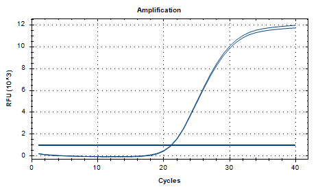 Mycobacterium parafortuitum Nucleic Acid Reference Material (Thermally Inactivated) (Strongly Positive)-BNCC