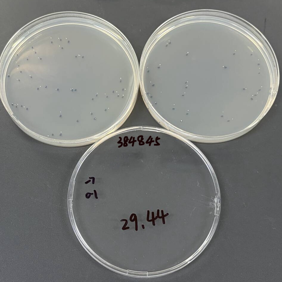 Intracellular mycobacteria-BNCC