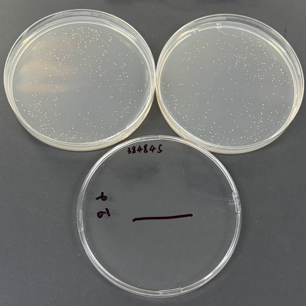 Intracellular mycobacteria-BNCC