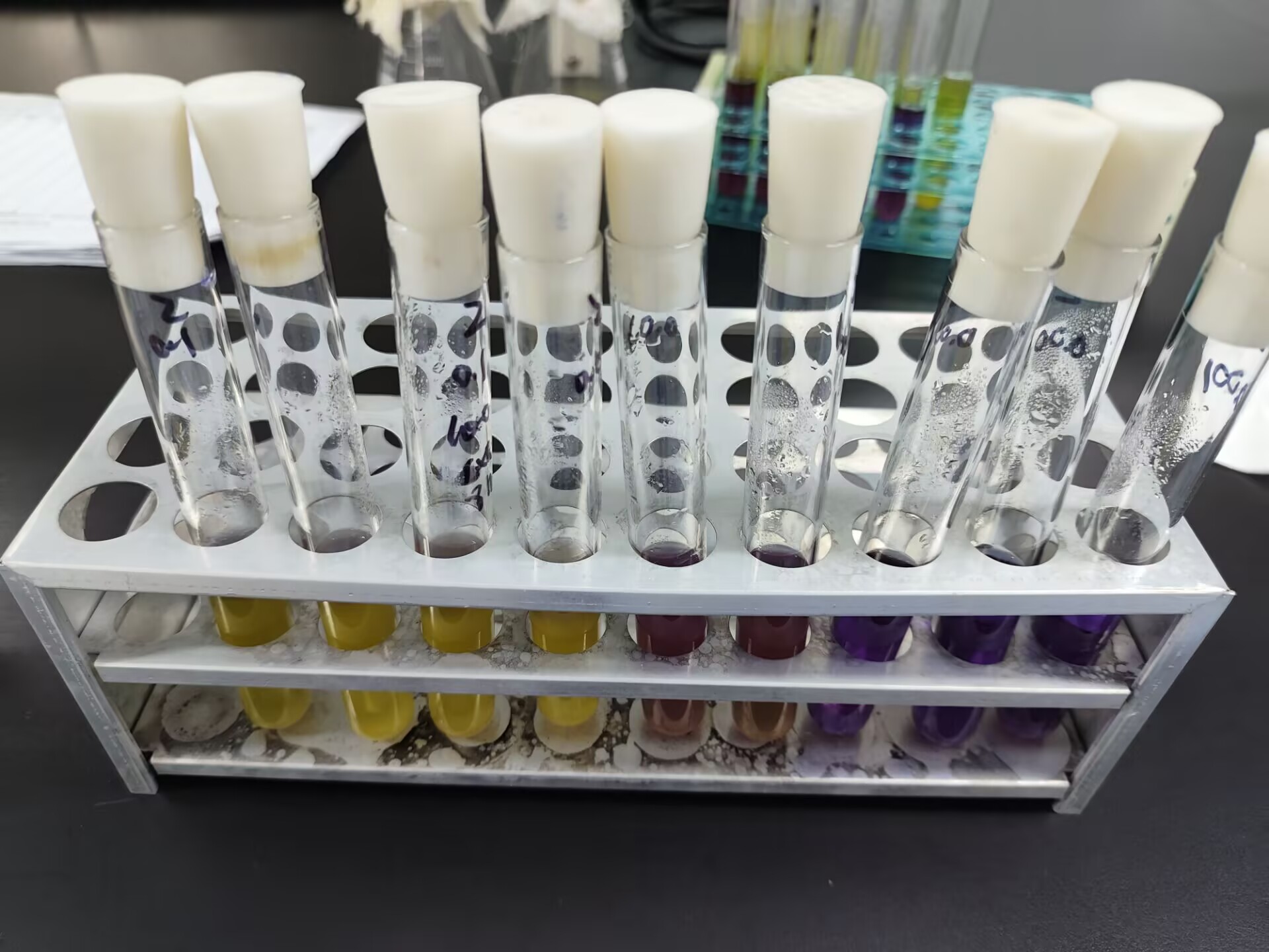 Standard quality control sample for coliform bacteria in food (MPN counting method)-BNCC