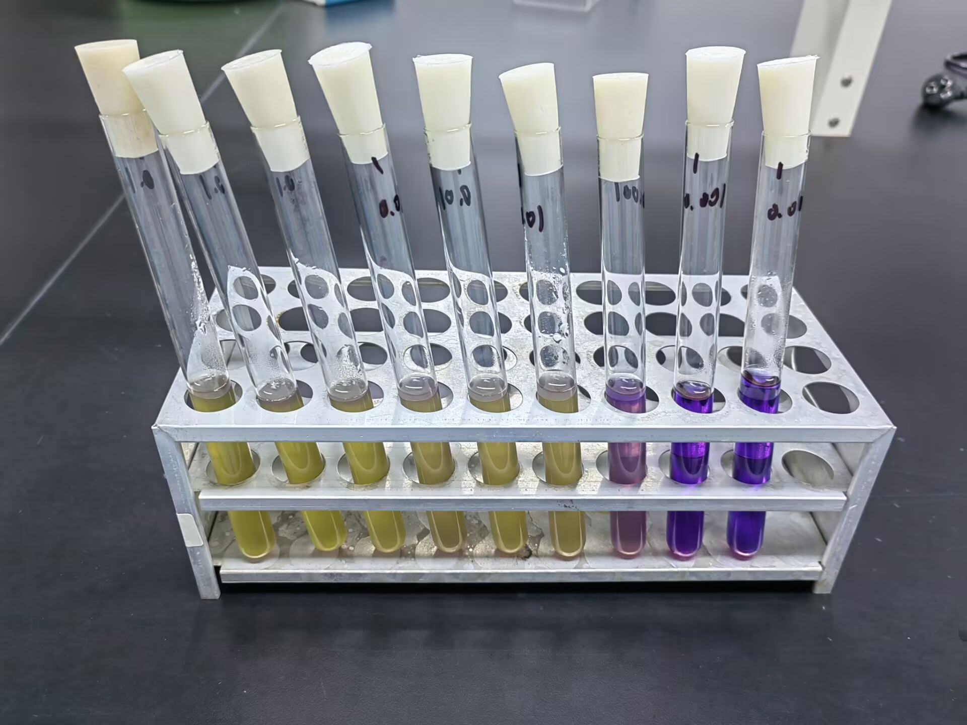 Standard quality control sample for coliform bacteria in food (MPN counting method)-BNCC
