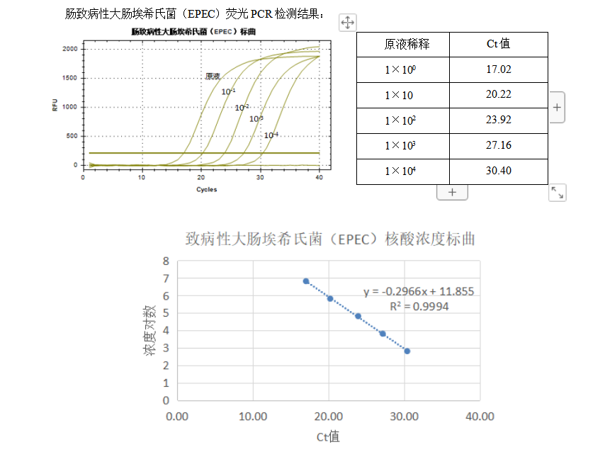 Indoor quality control material for  Escherichia coli EHEC deoxyribonucleic acid liquid with enterohemorrhagic origin-BNCC