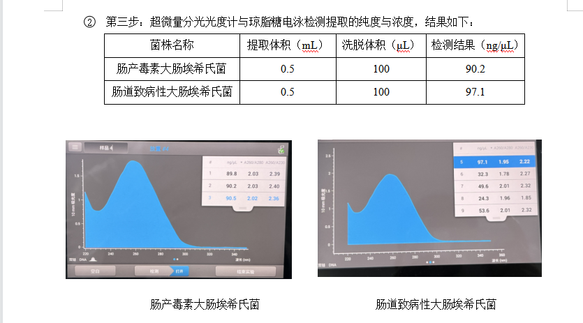 Indoor quality control material for  Escherichia coli EHEC deoxyribonucleic acid liquid with enterohemorrhagic origin-BNCC
