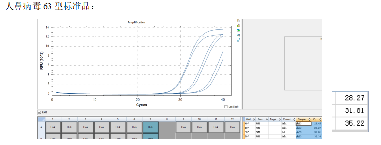 Human Rhinovirus 63 RNA Standard-BNCC