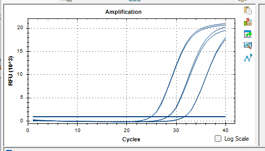 Human embryonic kidney cell (293T) DNA standard-BNCC