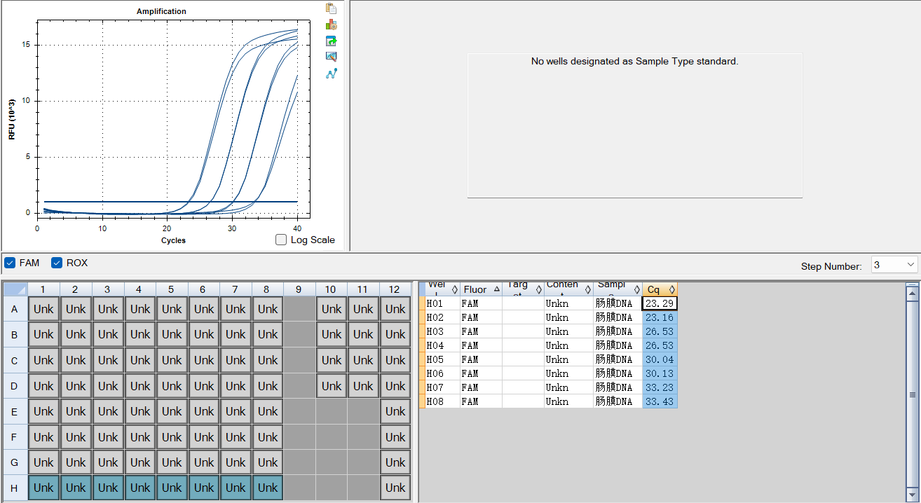 Intestinal membrane shaped Leuconostoc DNA standard-BNCC