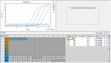 Cunninghamella elegans DNA lab quality control-BNCC