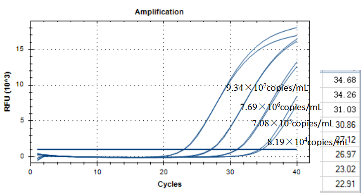 Radiation resistant abnormal cocci DNA standard-BNCC