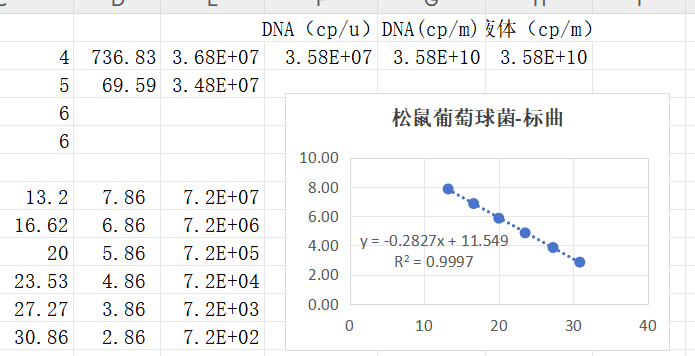 Squirrel Staphylococcus DNA standard-BNCC