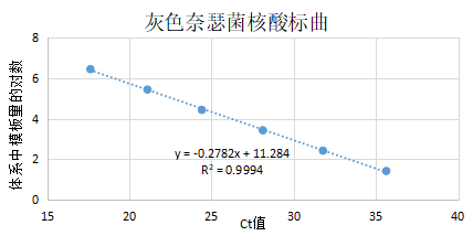 Gray Neisseria cinerea DNA standard-BNCC