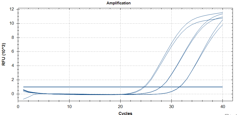 Cluster pan bacterial DNA standard-BNCC